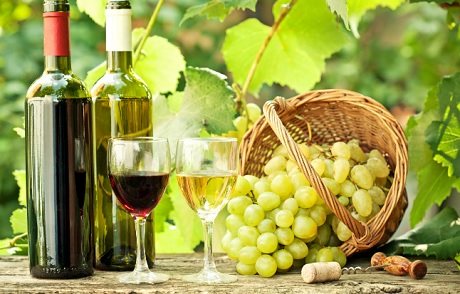 Letošnji Pubec v Mariboru predstavlja 18 vinarjev z mladimi vini